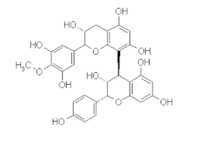 Oligomeric Proanthocyanidins (OPC) ใน IP-1