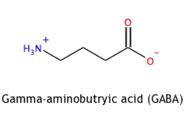 GABA (กาบ้า) หรือ Gamma-aminobutyric acid