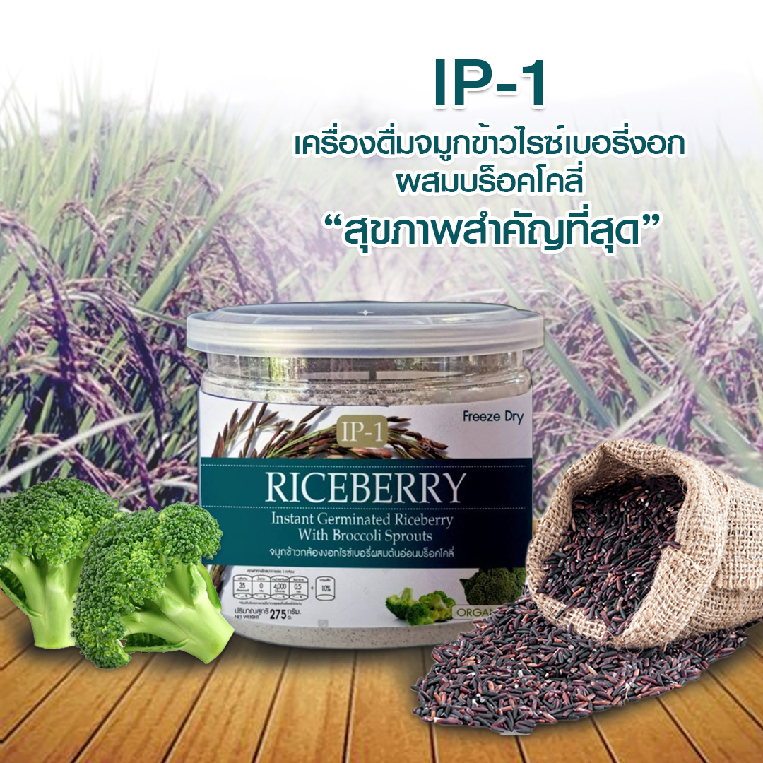 IP-1 เครื่องดื่มจมูกข้าวไรซ์เบอรี่งอกผสมบร็อคโคลี่