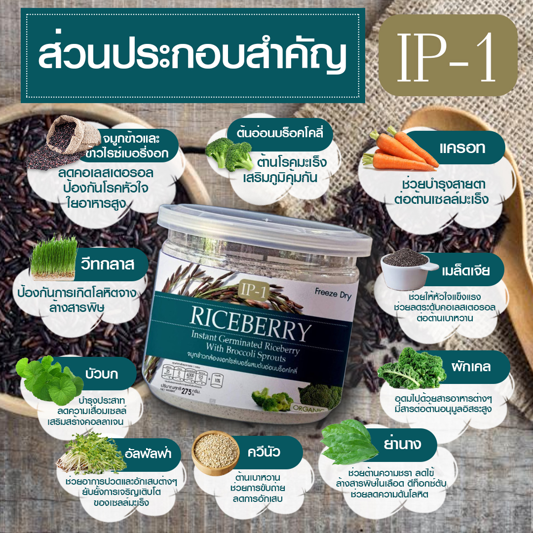 ส่วนประกอบสำคัญ IP-1  