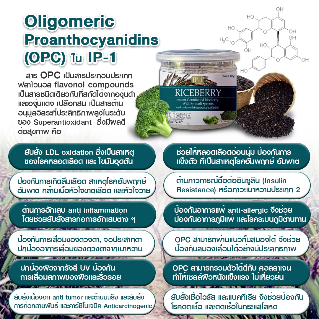Oligomeric Proanthocyanidins (OPC) ใน IP-1