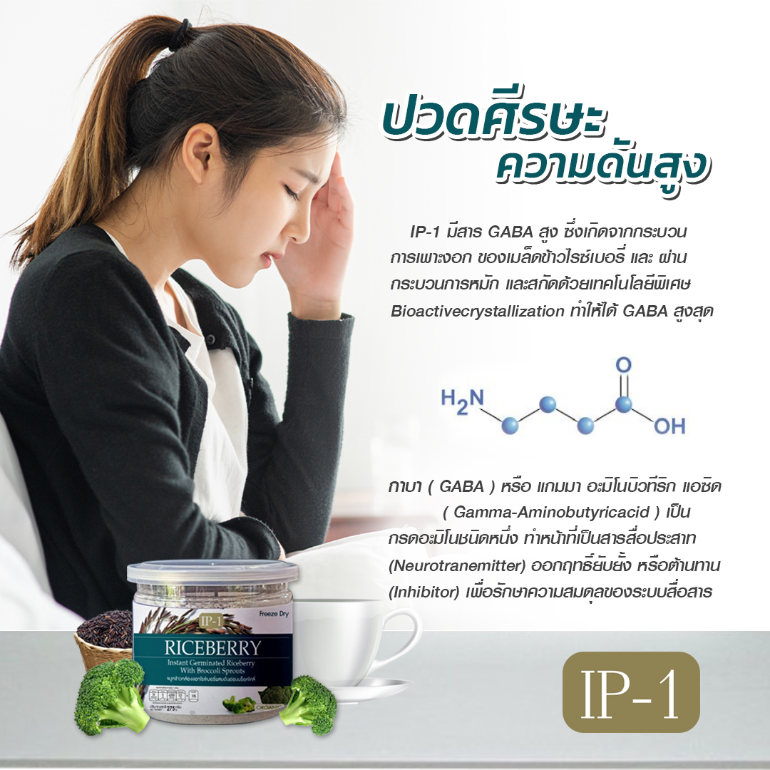 GABA (กาบ้า) หรือ Gamma-aminobutyric acid