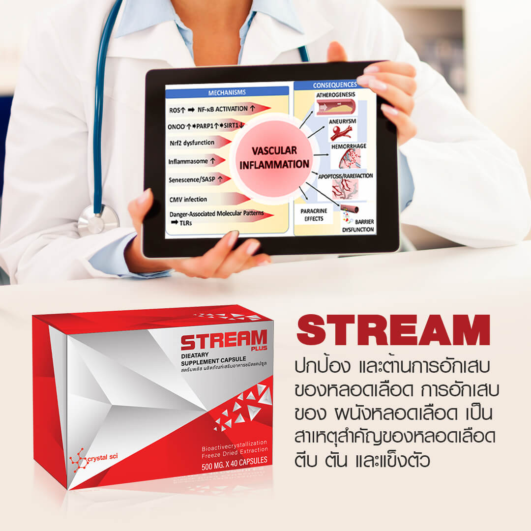 STREAM PLUS