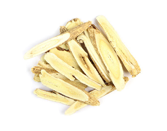 Astragalus Root